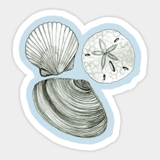 She sells seashells Sticker